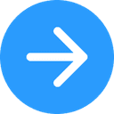 Run audit